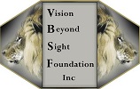 vision beyond sight center